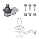 ROTULA FIAT IDEA 07-16 PALIO WEEKEND 09-20 STRADA 09-20 IC:Ø17 0 DM:Ø8 5 ETC:33N.M INFERIOR DER