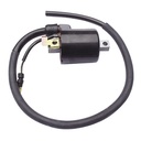 BOBINA DE ALTA HONDA(BIZ125, WAVE110, TORNADO250) MOTOCICLETA
